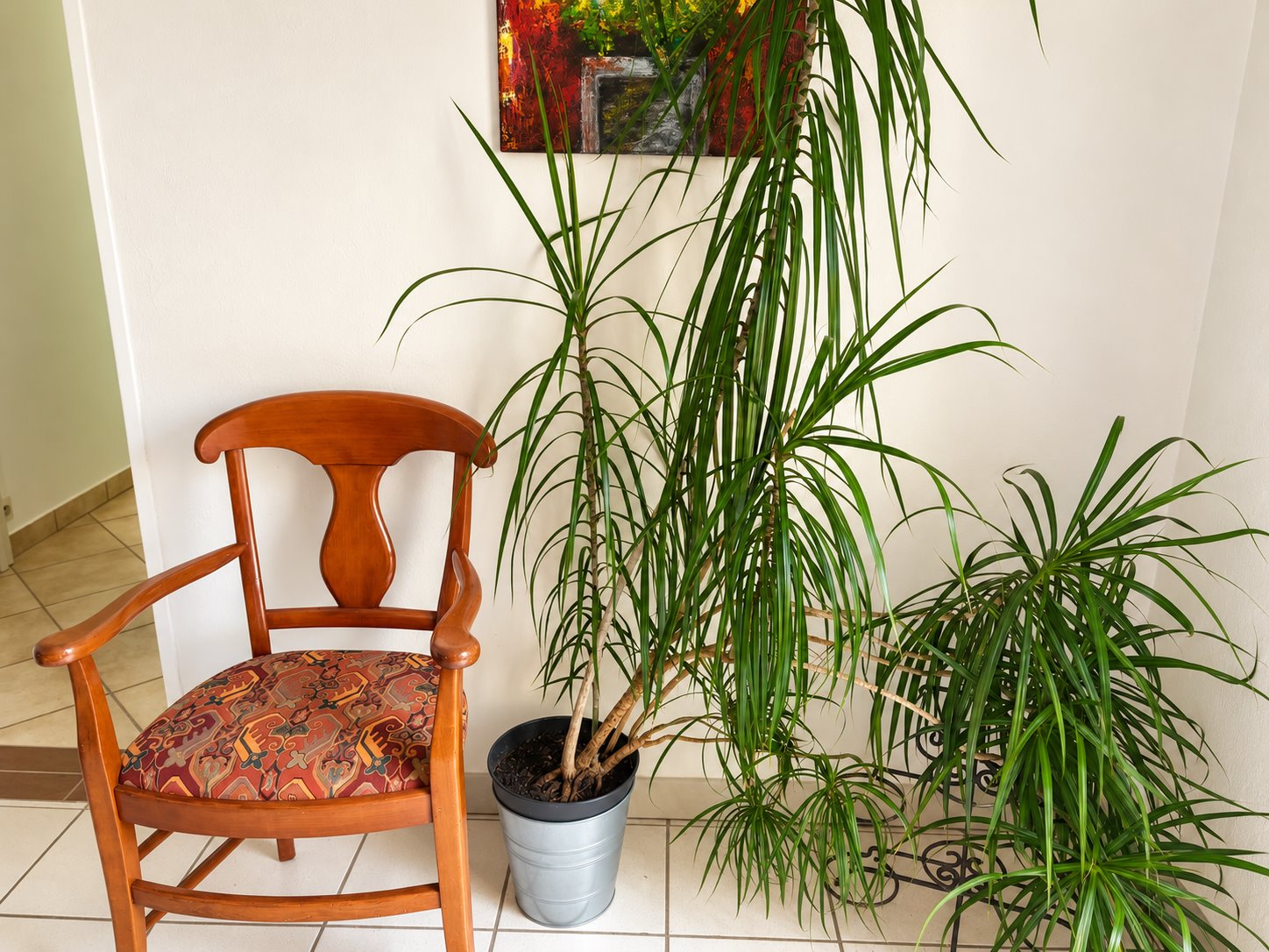 Fauteuil en bois et grande plante dans le cabinet.